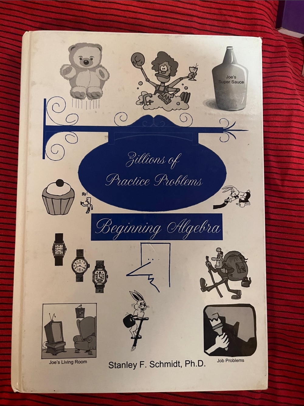 Zillions of Practice Problems: Beginning Algebra - White & Blue Textbook